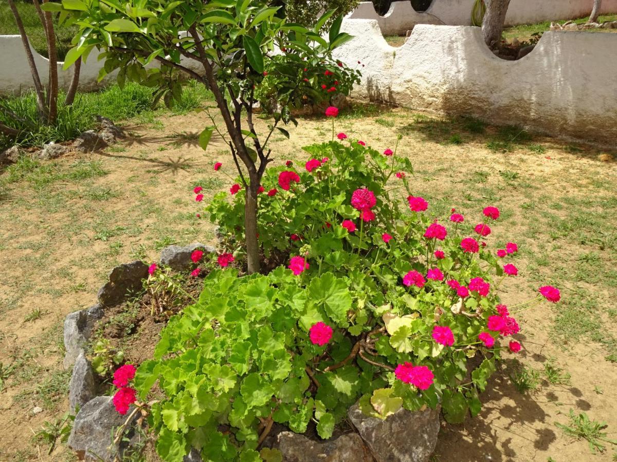 Villa Elena Ypsos Exteriör bild